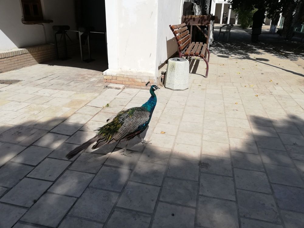 Photograph by Veranika Siratsinina