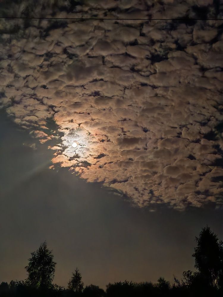 Photograph by Татьяна Василевская