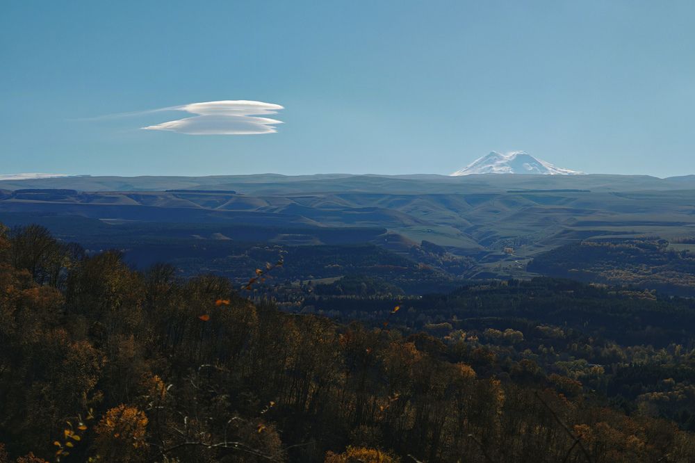 Photograph by Ольга Стебенева