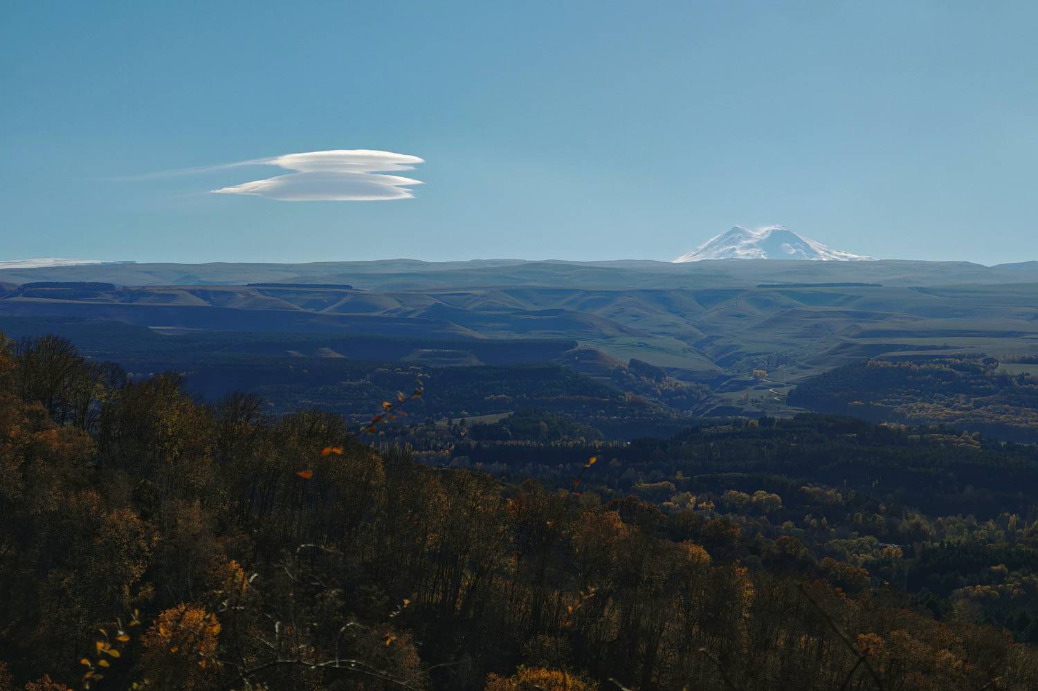 Photo #13736346
