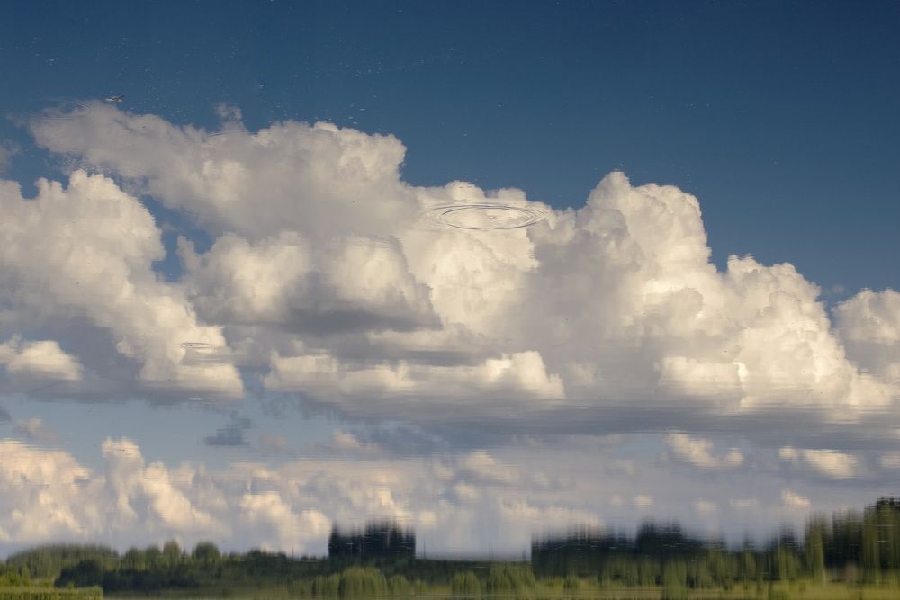 Photograph by Алексей Пяткин
