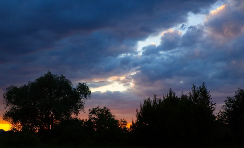 Photograph by Алексей Пяткин