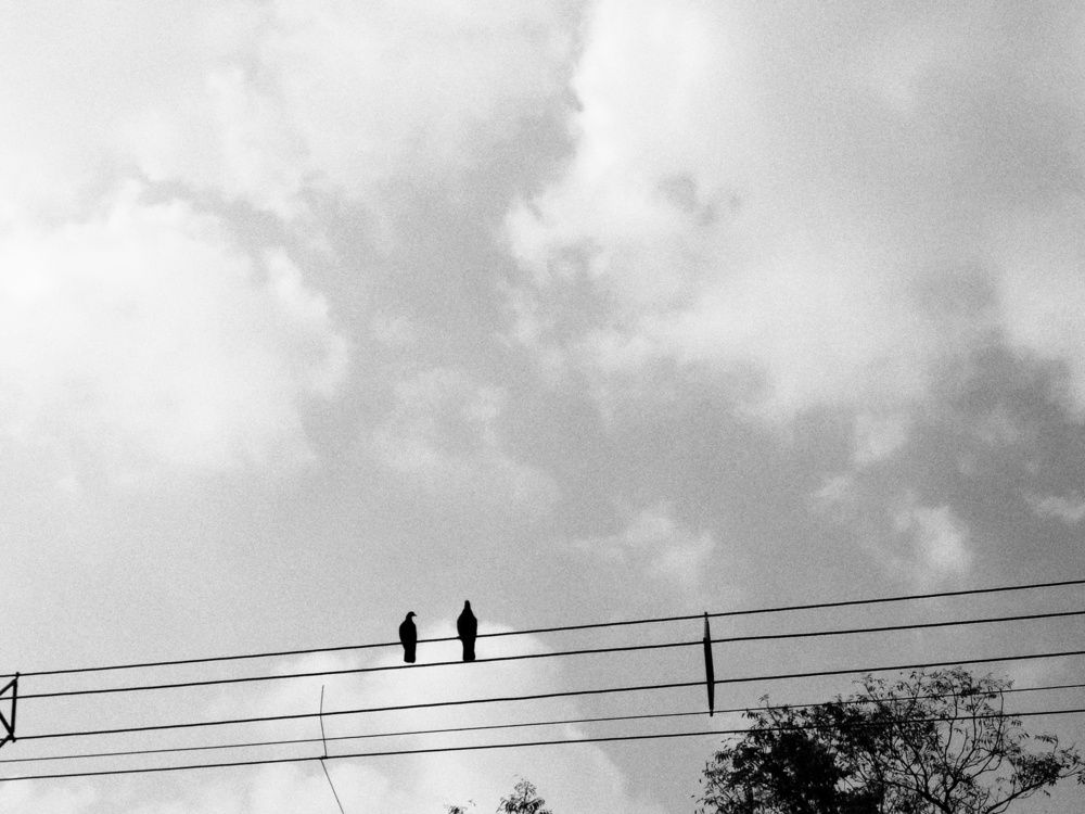 Photo #13736403