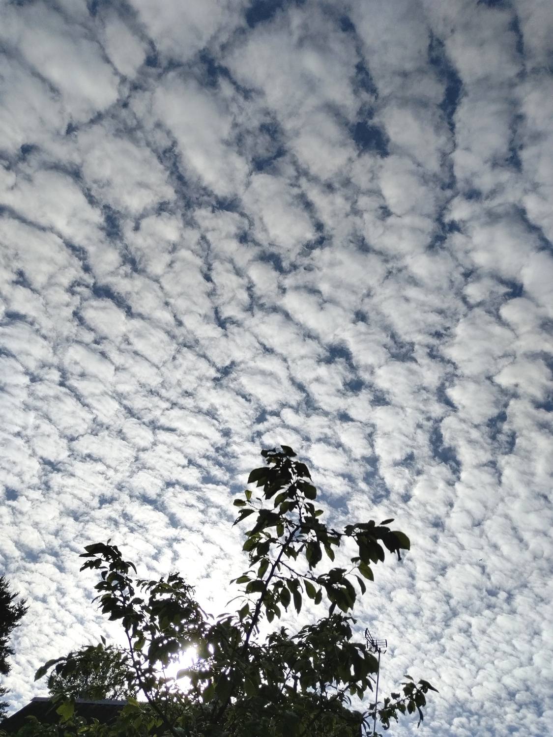 Photo #13736414