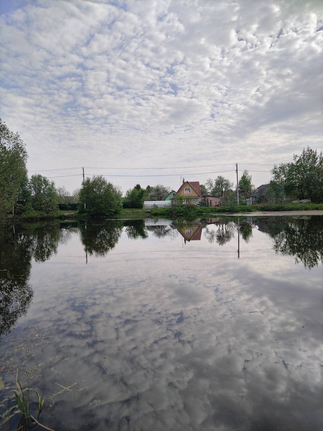 Photo #13736419