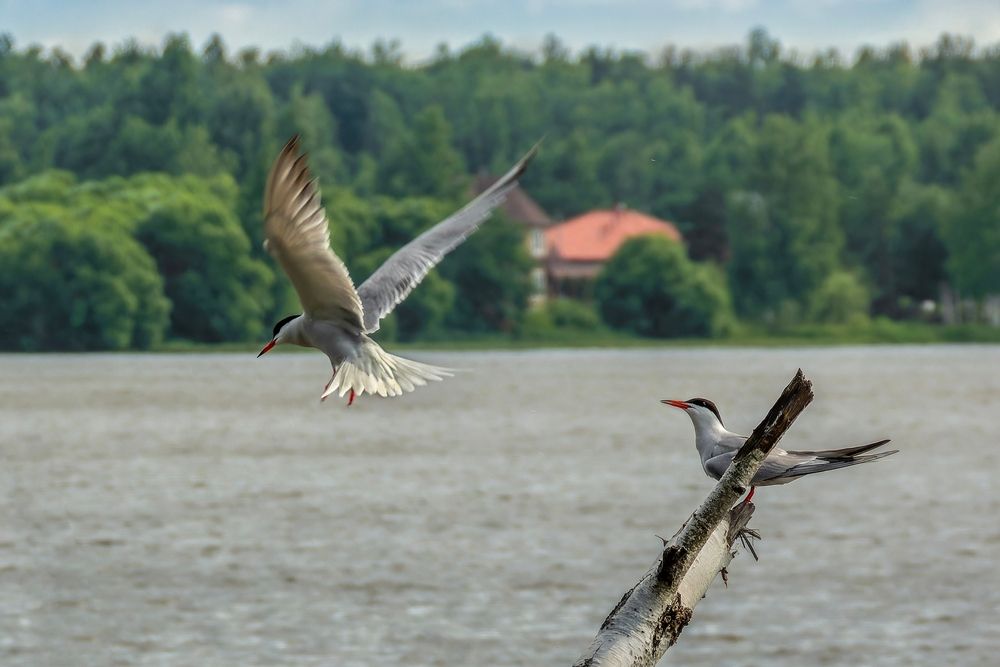 Photograph by АНДРЕЙ АБАКУМОВ