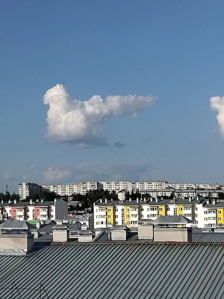 Photograph by Вероника