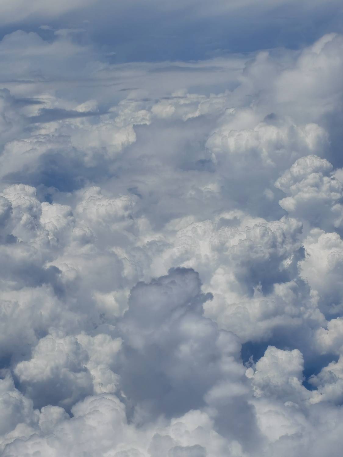 Photo #13736468
