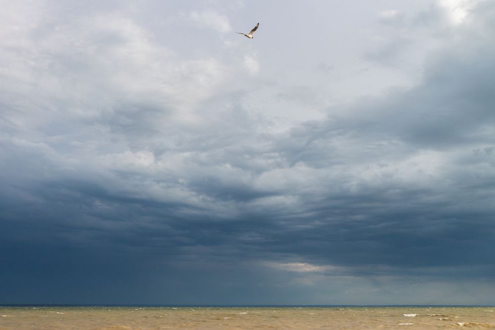 Photograph by Наталья Плотникова