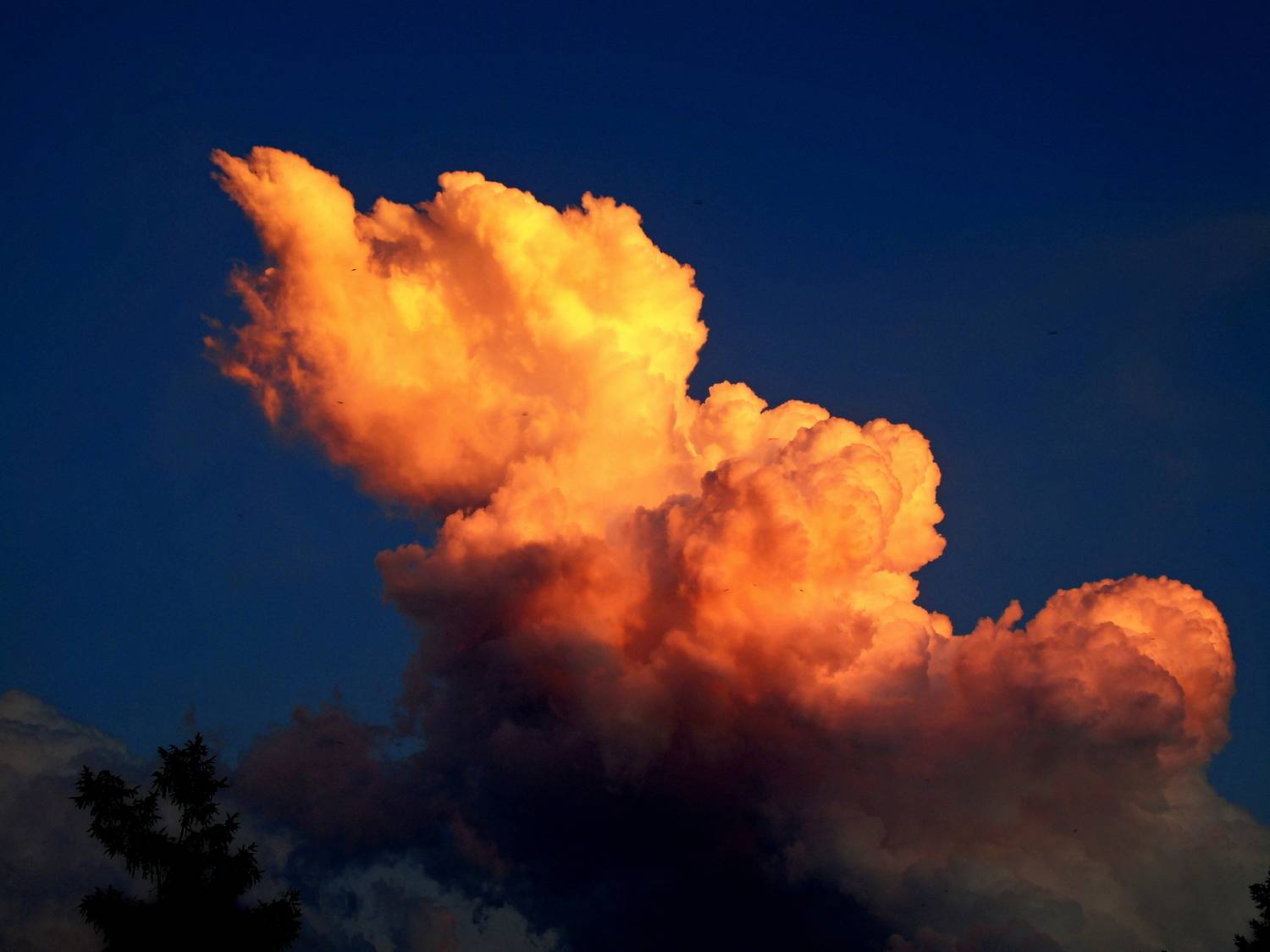 Photo #13736606