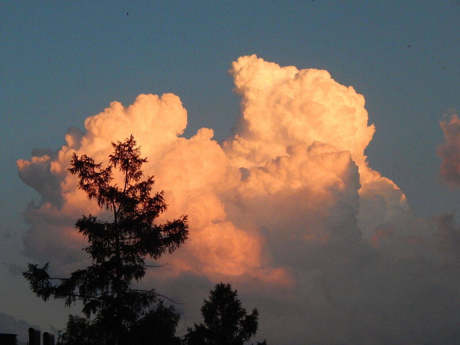 Photo #13736608