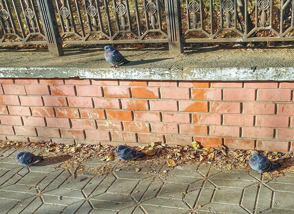 Photograph by Дмитрий Сорокин