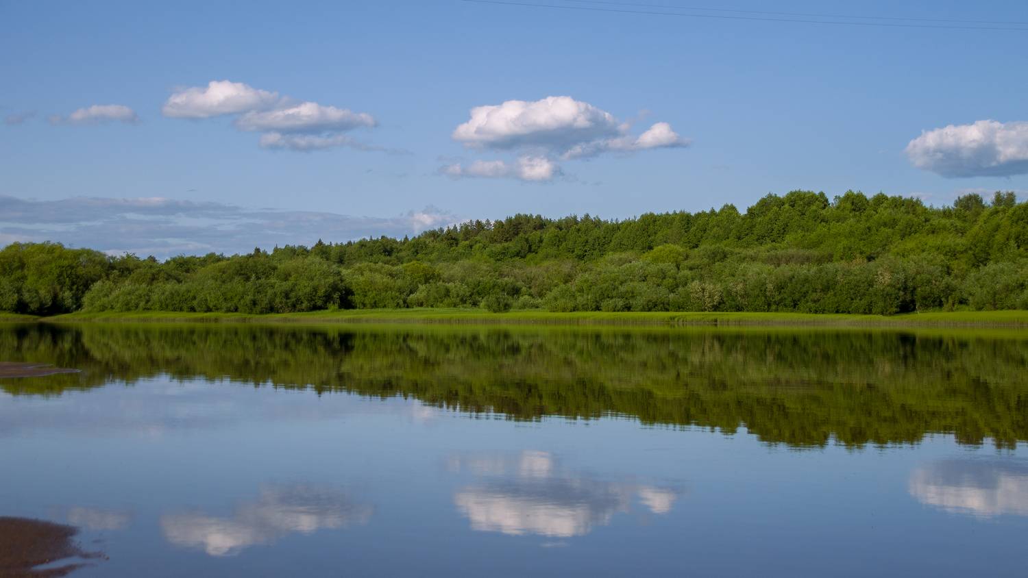 Photo #13736664