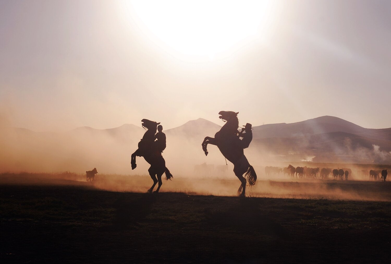 Photo #13736770
