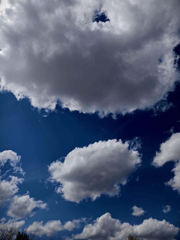 Photograph by Елена Оборник