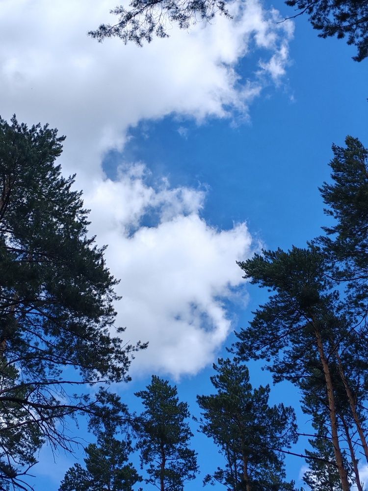 Photograph by Альбина Майкова