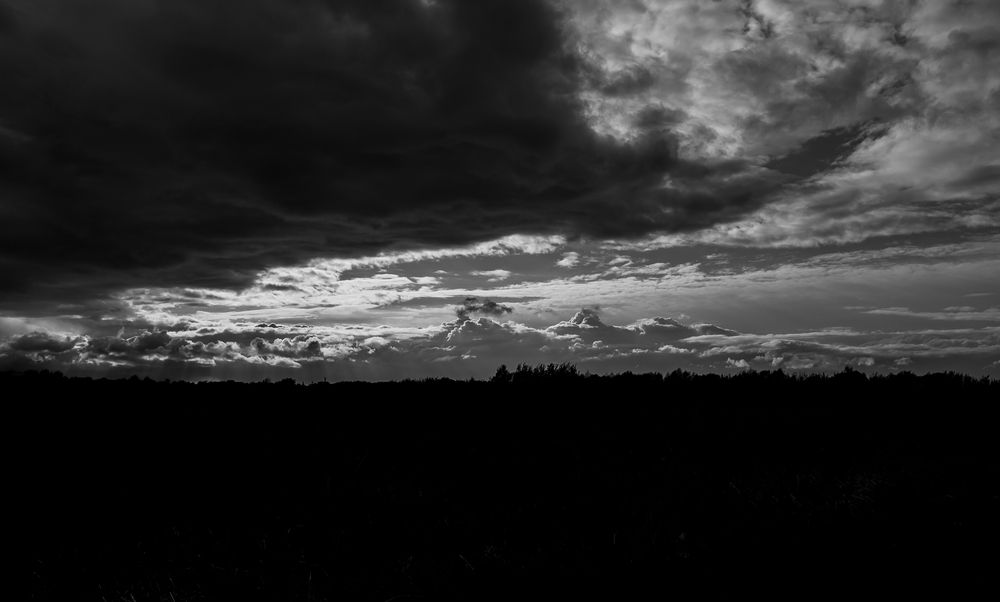 Photo #13736813