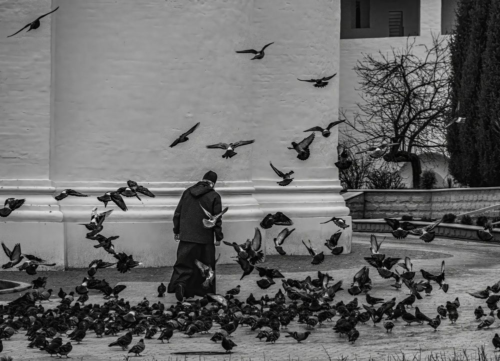 Фотография #13736820