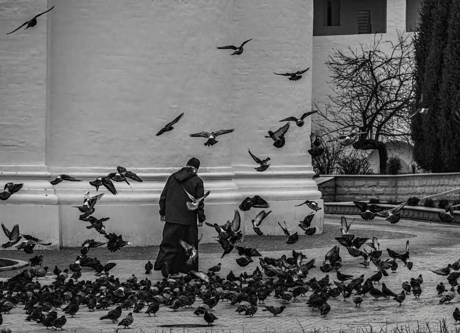 Photo #13736820