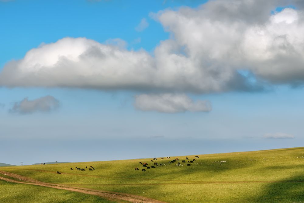 Photograph by Владимир Колесников
