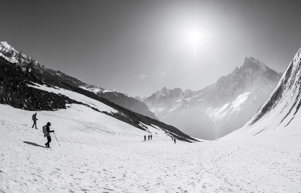 Across the White