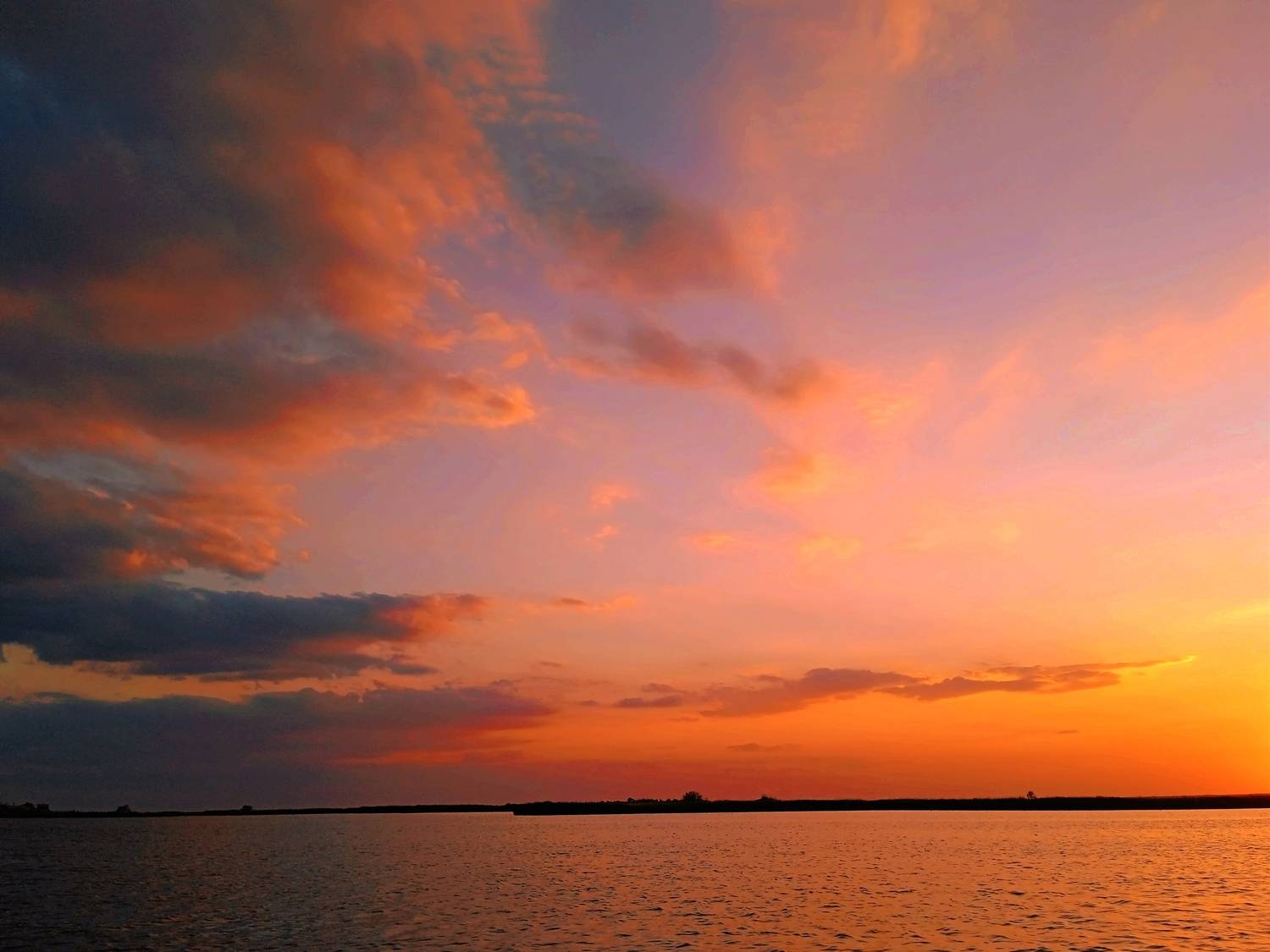 Photo #13736885