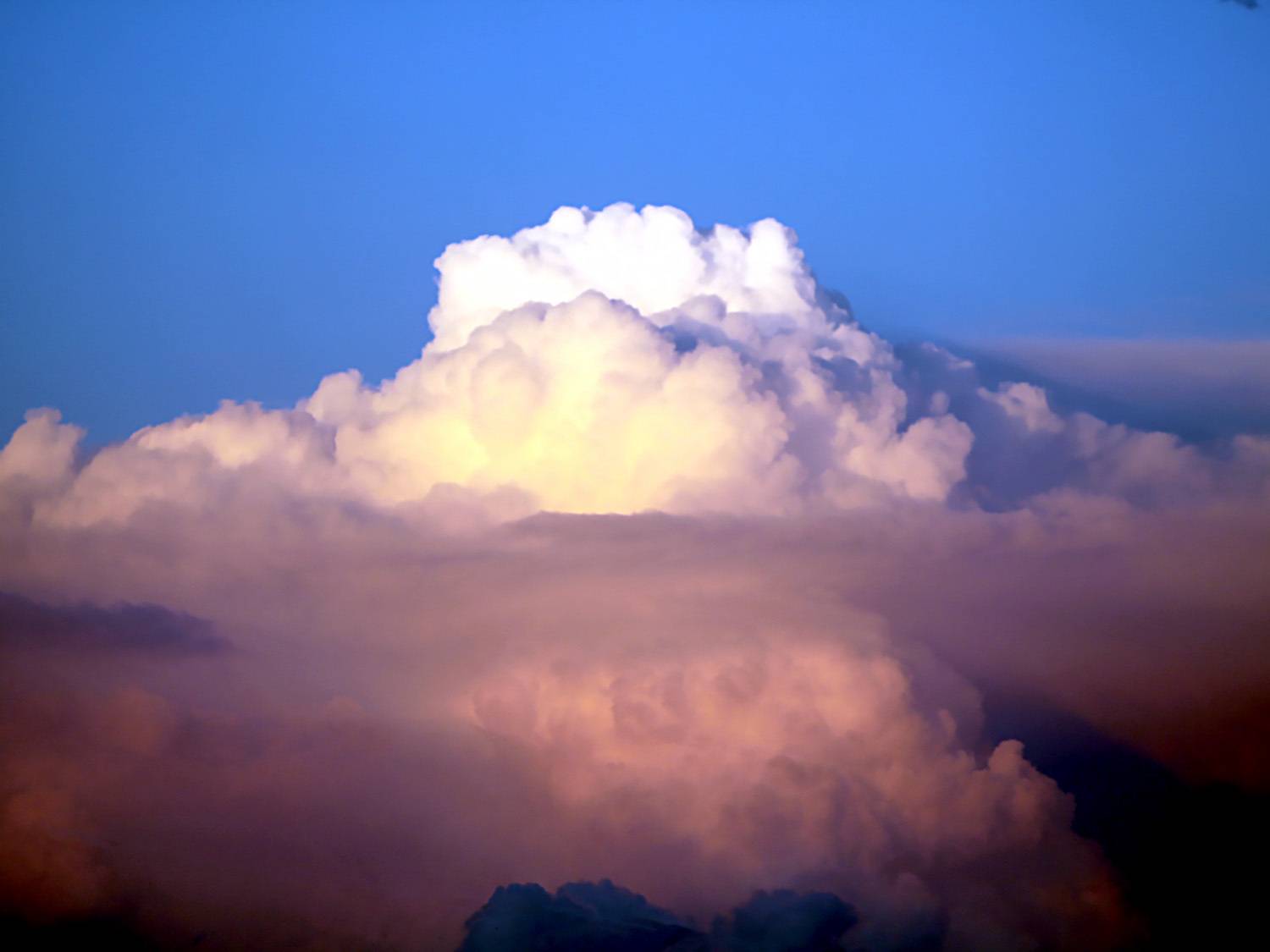 Photo #13736898