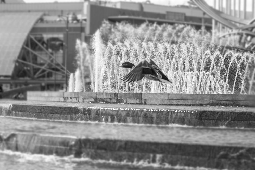 Photograph by Роман Гурененко