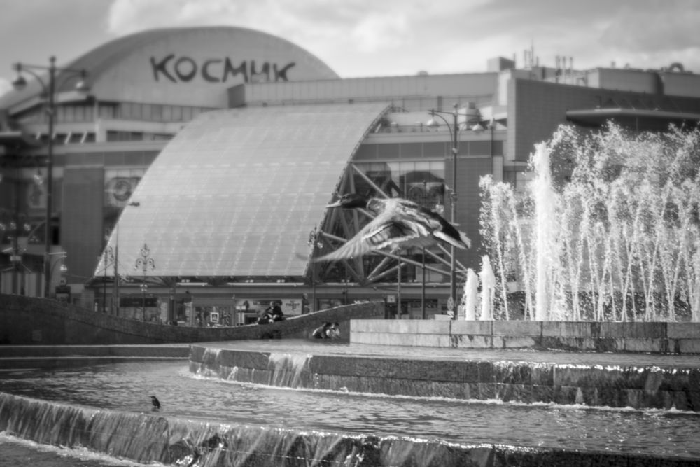 Photograph by Роман Гурененко