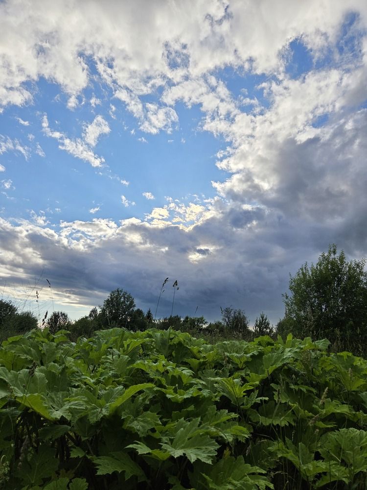 Photograph by Елена Кичигина