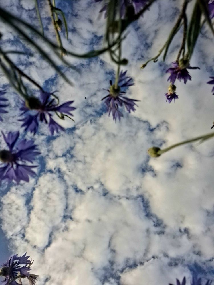Photograph by Ольга