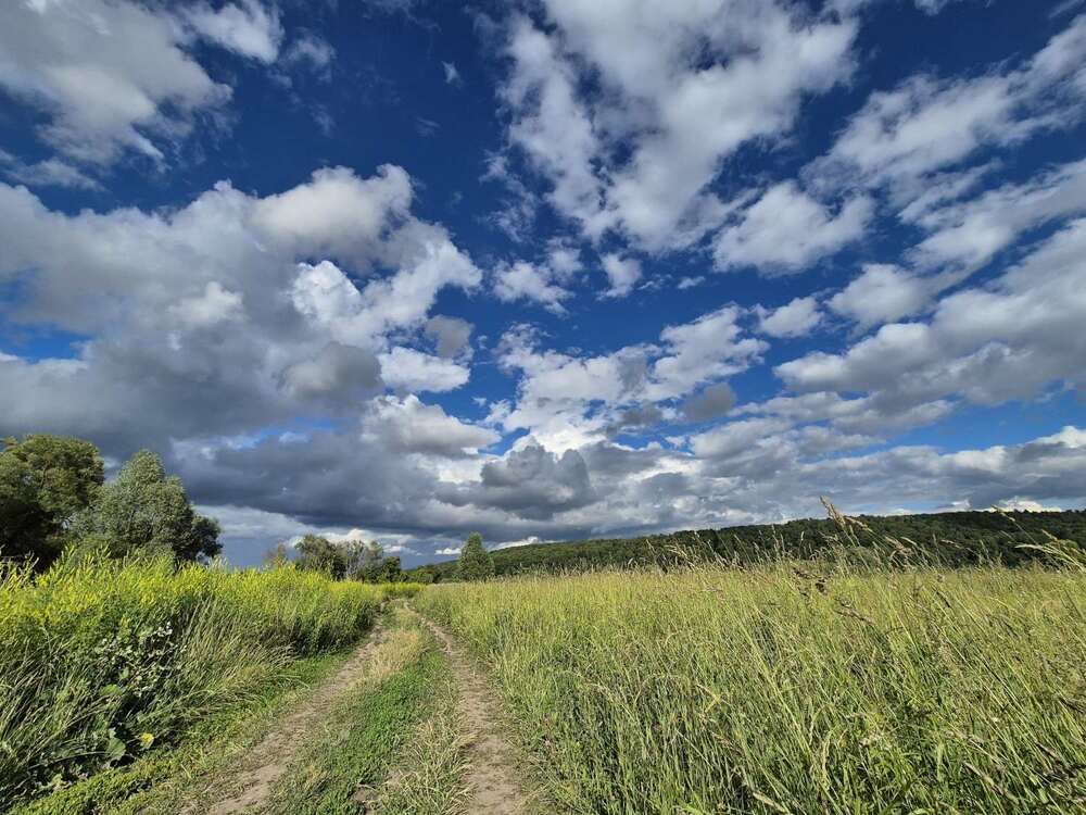 Photograph by Ирина Сусейкина