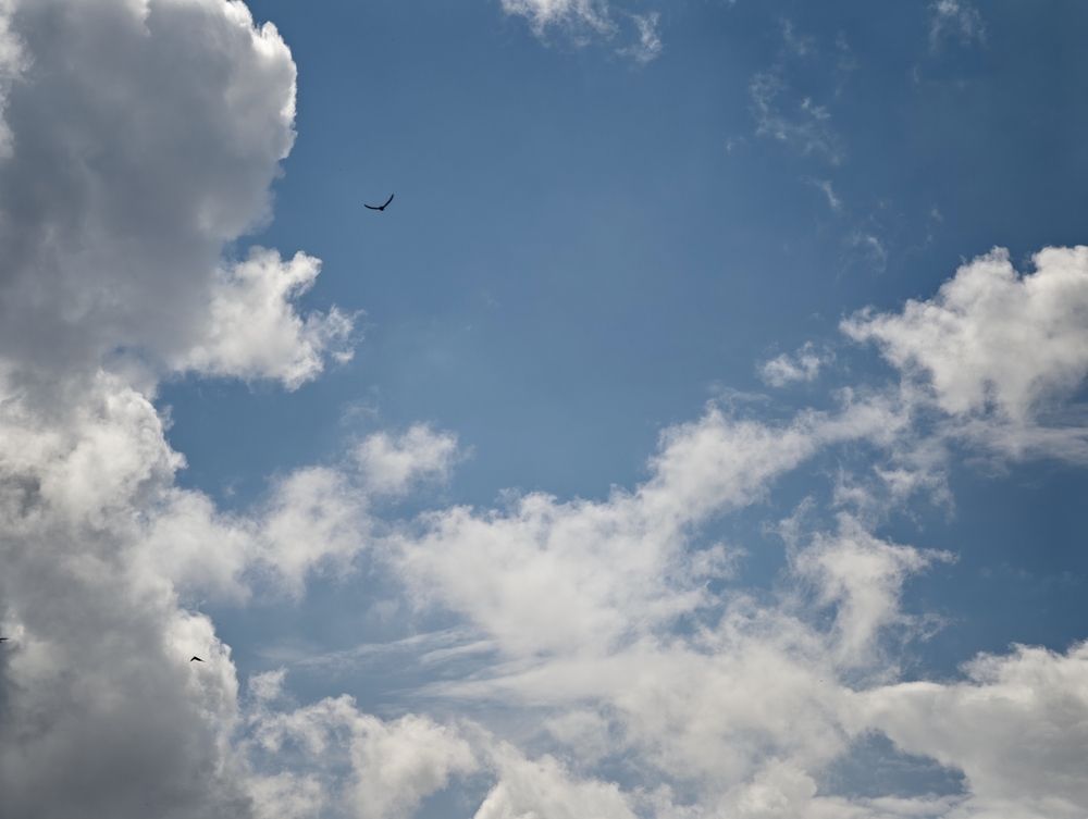 Photo #13737081
