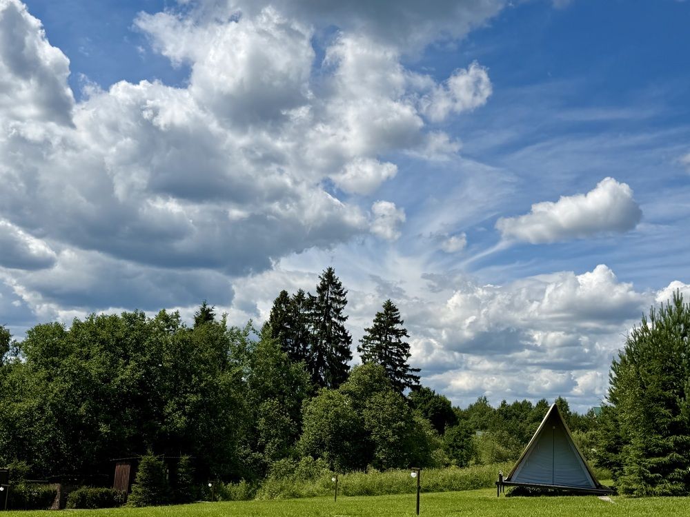 Photograph by Ольга Куркова
