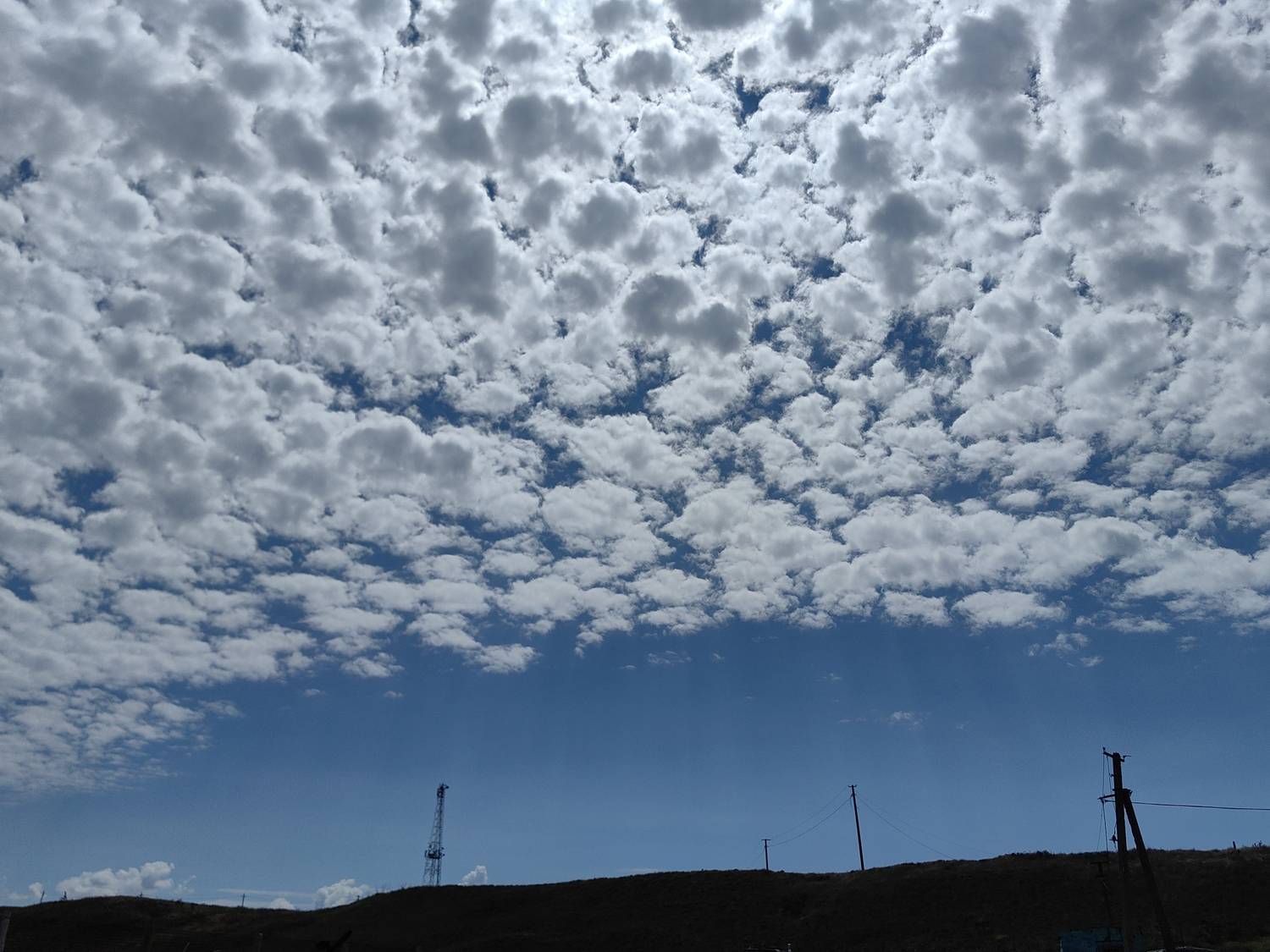 Photo #13737108