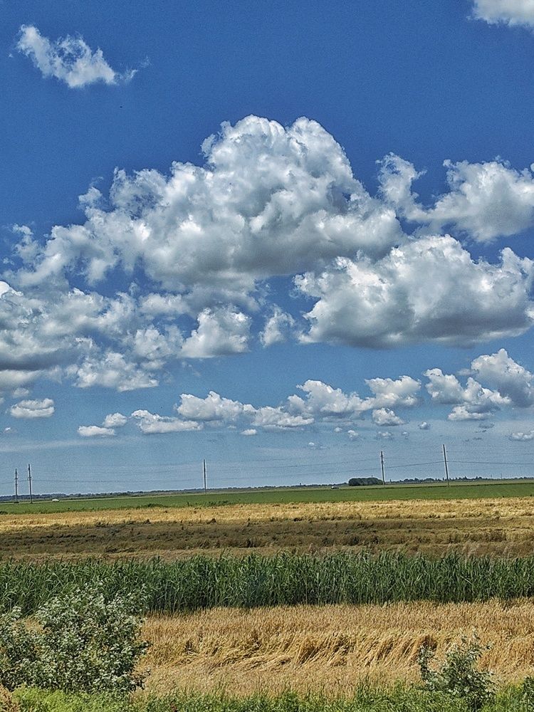 Фотография автора Анастасия Кременчугская