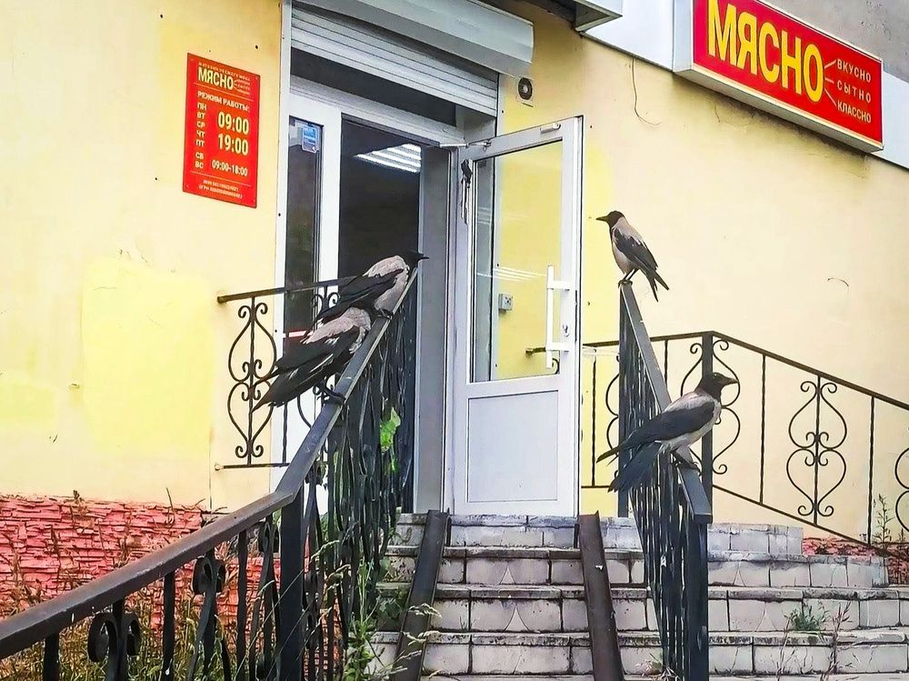 Photograph by Галина Пылаева