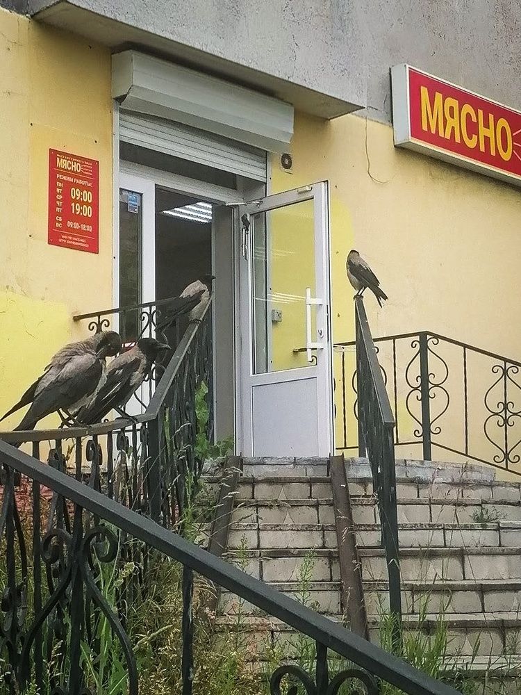 Photograph by Галина Пылаева
