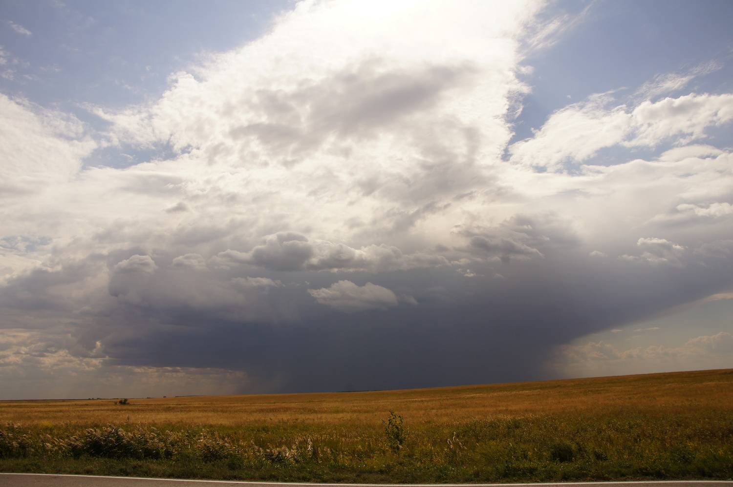 Photo #13737148