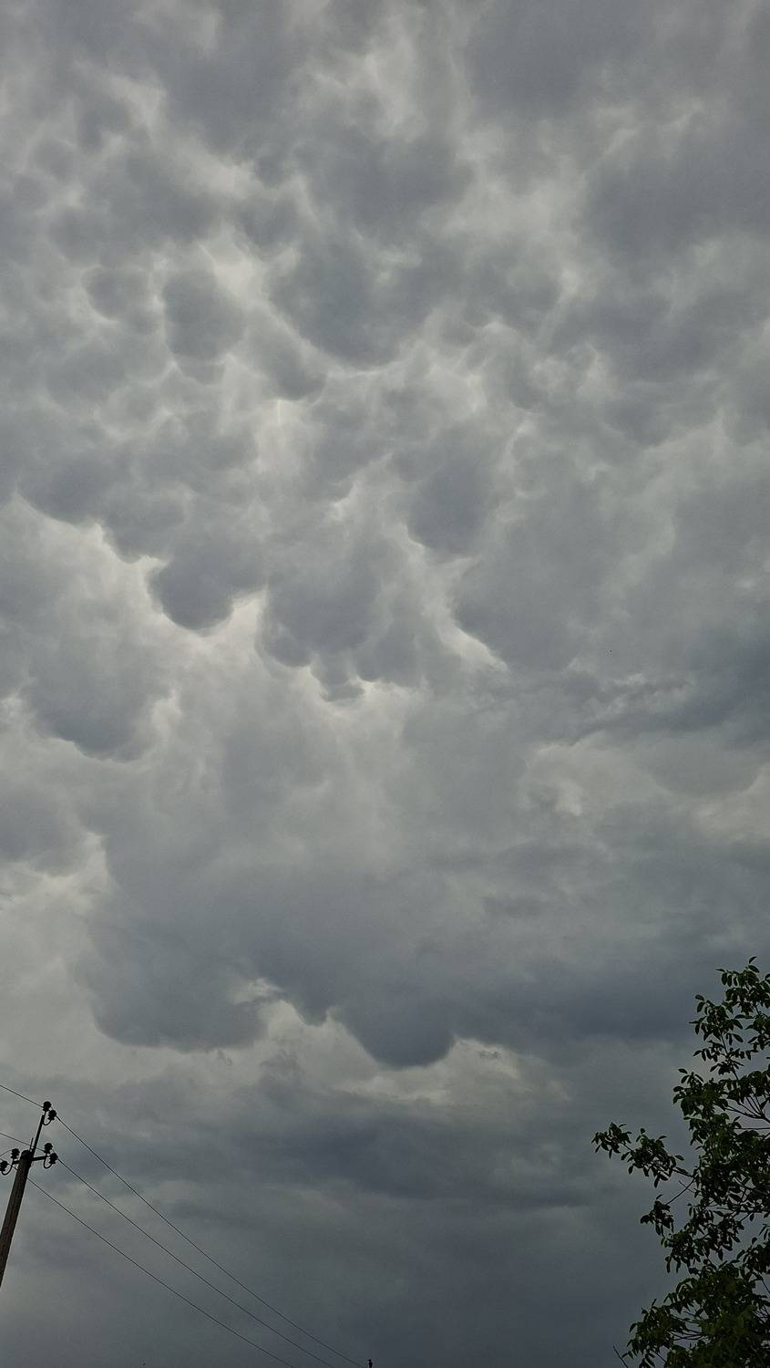 Photo #13737159