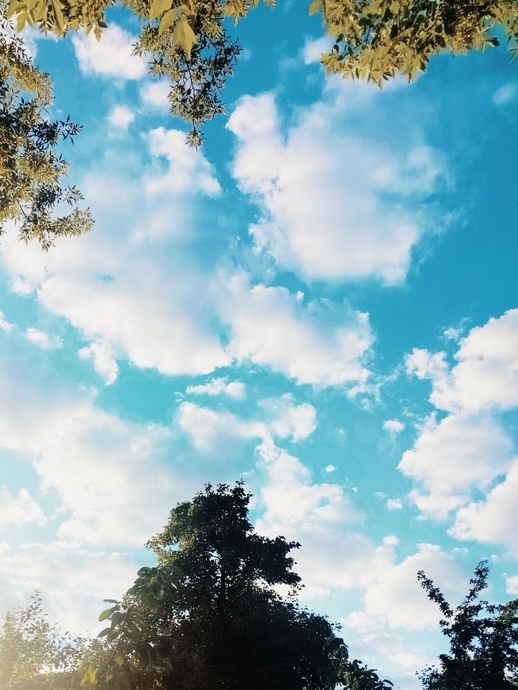 Photograph by Наталья Драгун