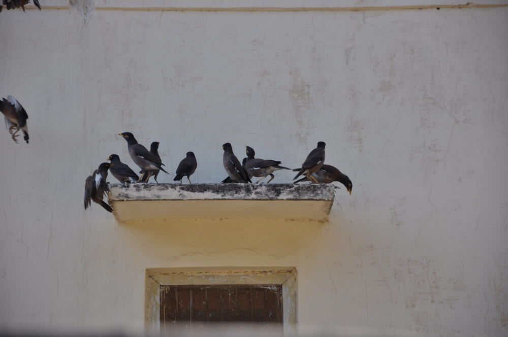 Photograph by Луцук Мария