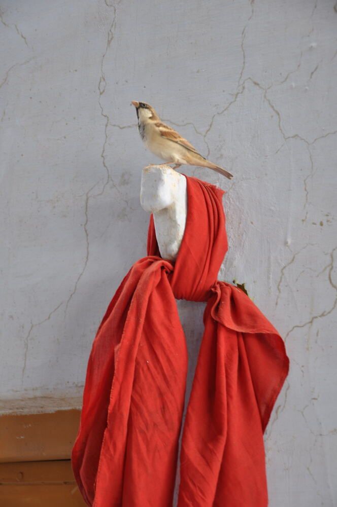Photograph by Луцук Мария