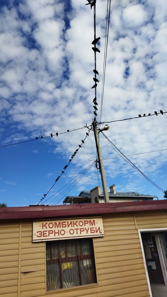 Photograph by Юлия Морозова