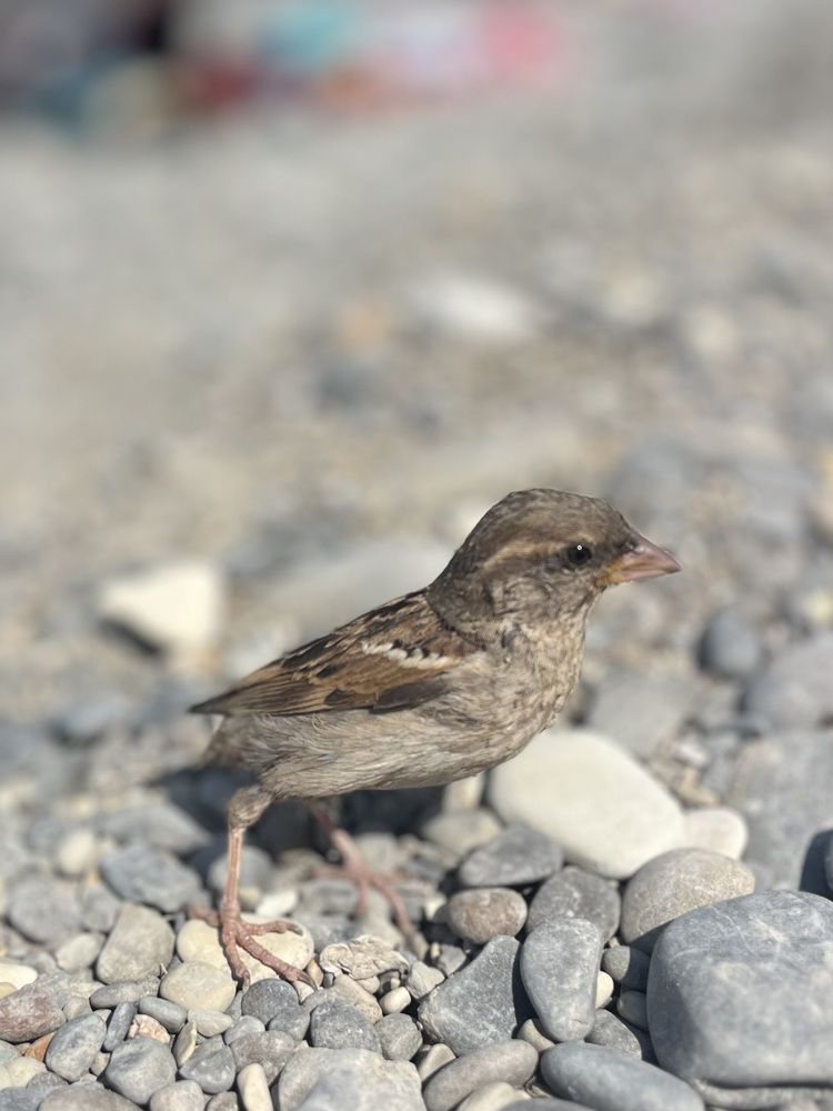 Photograph by Оксана Сербиненко