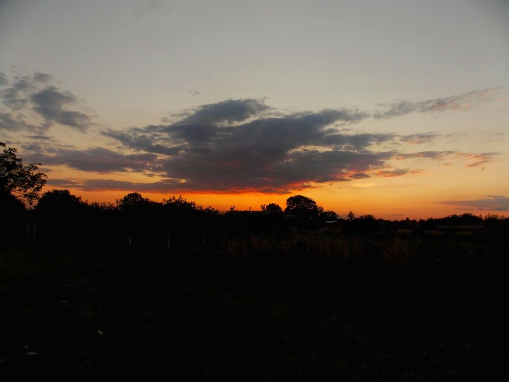 Photograph by Dragoslav Macanović