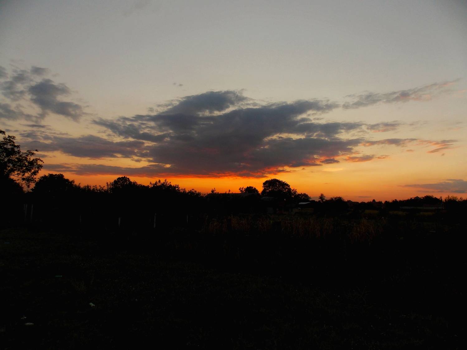 Photo #13737276
