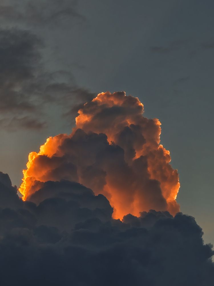 Sunset Silhouette