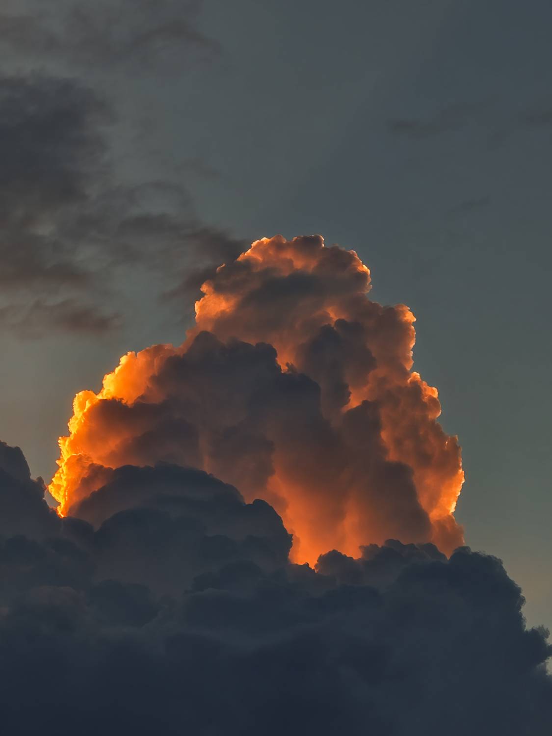 Sunset Silhouette