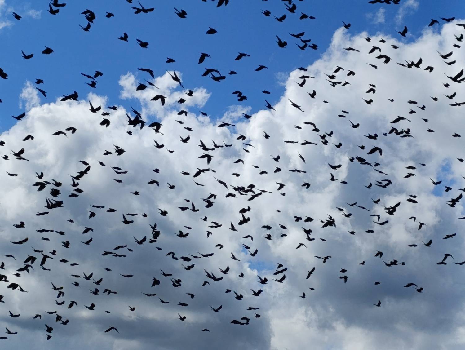 Photo #13737289